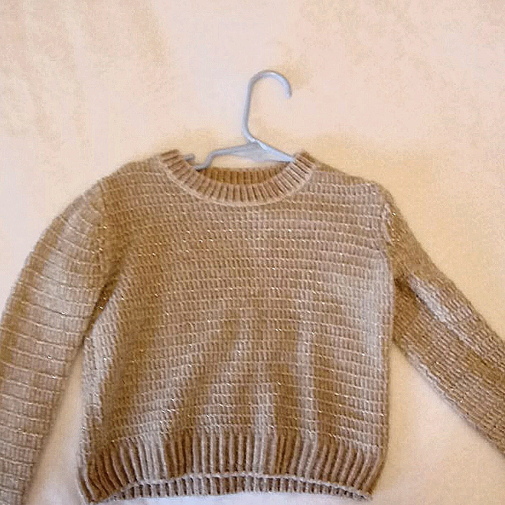 Gymboree shimmer sweater